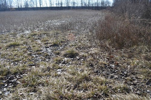 Property photo 35 - East Allen County - 55 Acre Land Auction
